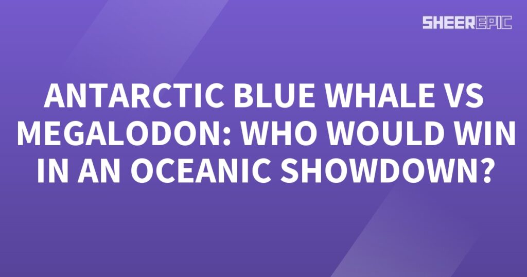 Antarctic blue whale vs Megalodon: An Epic Oceanic Showdown