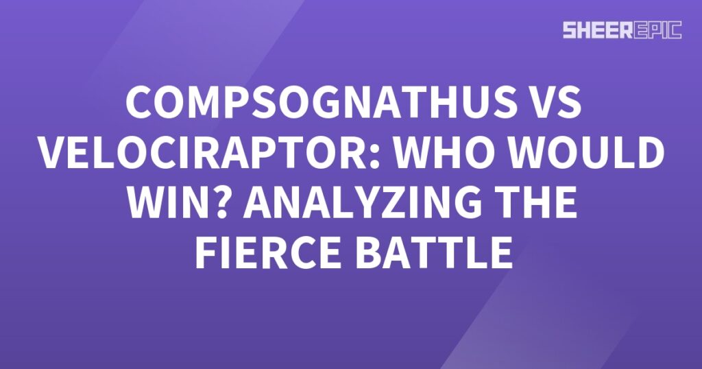 A purple background with the words Compsognathus vs Velociraptor, analyzing the fierce battle between these two formidable opponents.