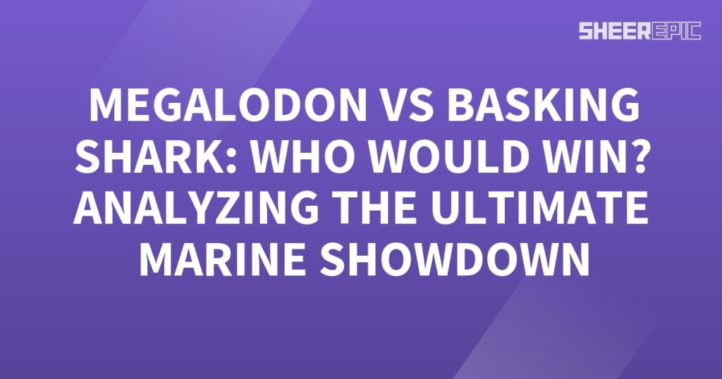 Megalodon vs basking shark - analyzing the ultimate marine showdown.