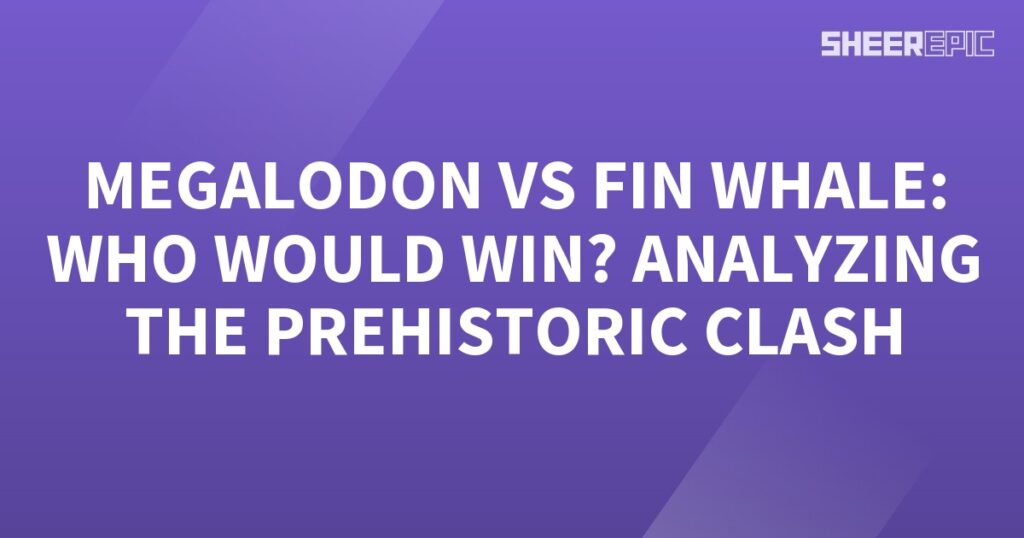 Megalodon vs Fin Whale: Analyzing the prehistoric clash between these two giants.