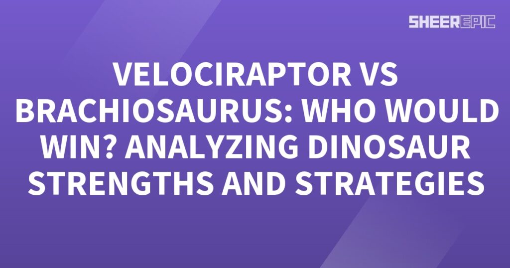 A purple background with the words velociraptor vs brachiosaurus analyzing who would win strengths and dinosaur.