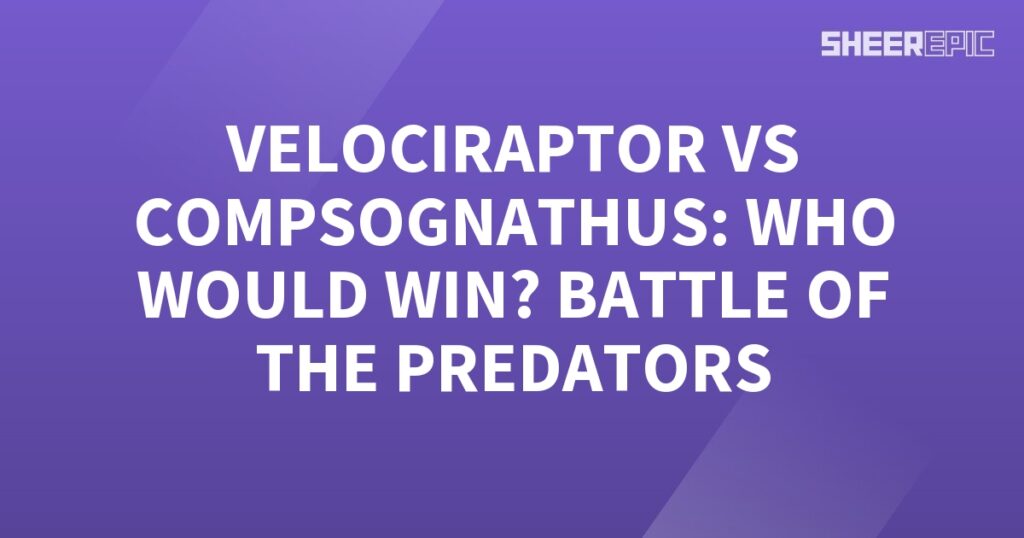 A purple background with the words Velociraptor vs Compsognathus - battle of the predators!