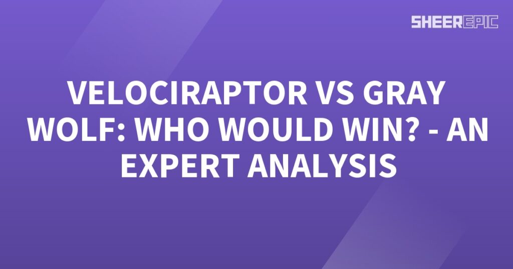 A thrilling expert analysis of the epic battle between a velociraptor and a gray wolf takes place against a mesmerizing purple background.