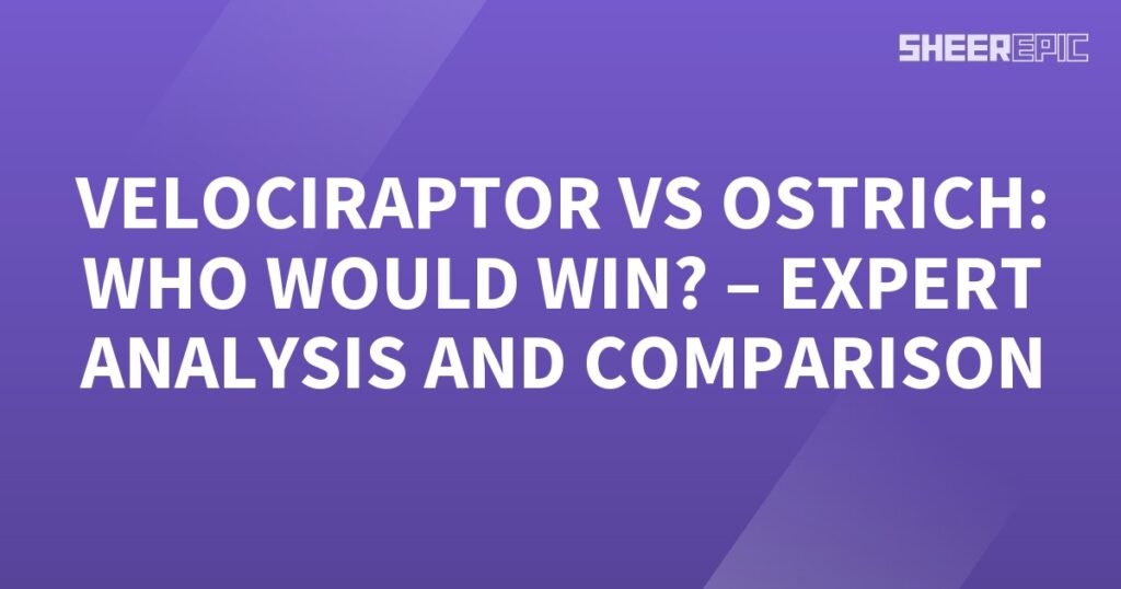 A purple background with the words velociraptor vs ostrich - a comparison of who would win? Expert analysis included.