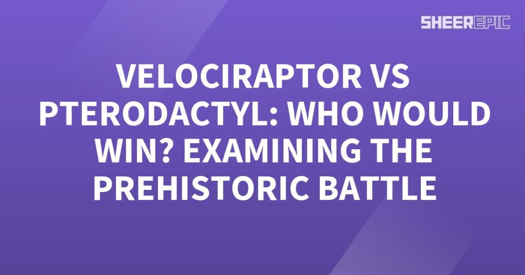 A prehistoric battle between a velociraptor and a pterodactyl, examining who won the intense duel.