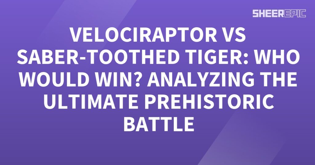 A thrilling prehistoric battle featuring a purple background with the fierce Velociraptor going head to head against the formidable Saber-Toothed Tiger.