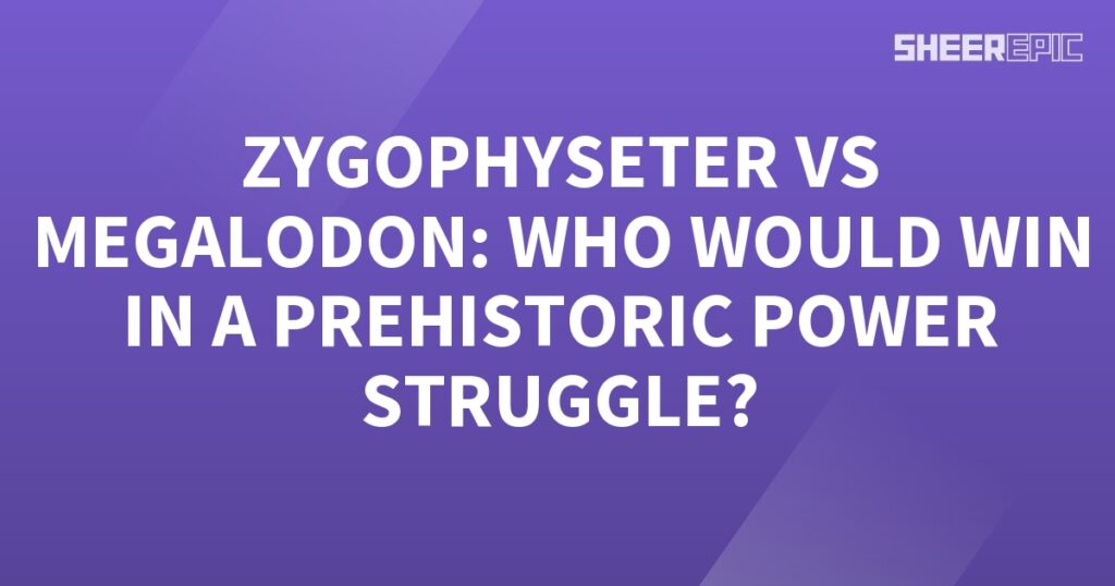 A prehistoric power struggle between Zygophyseter and Megalodon, with a purple background.